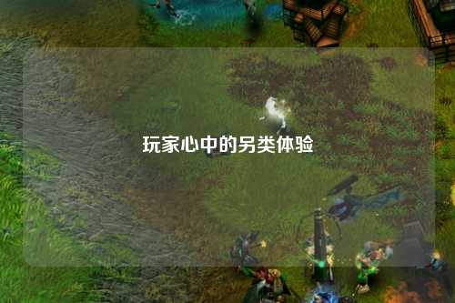 玩家心中的另类体验