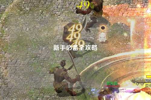 新手必备全攻略