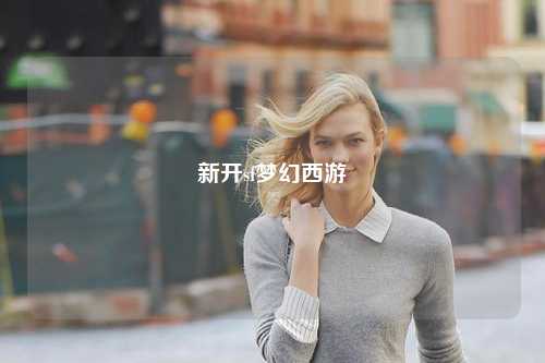 新开sf梦幻西游