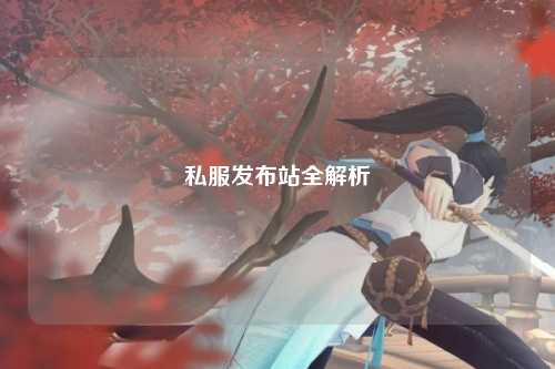 私服发布站全解析