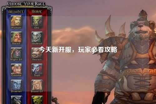 今天新开服，玩家必看攻略